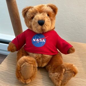 NASA teddy bear plushie